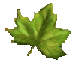 Free Animated Gif