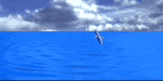 Free Animated Gif