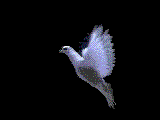 Free Animated Gif