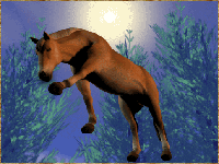 Free Animated Gif