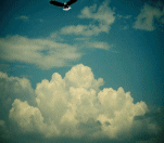 Free Animated Gif