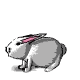 Free Animated Gif