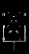 Free Animated Gif