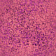 Free Animated Gif