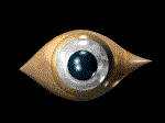 Free Animated Gif