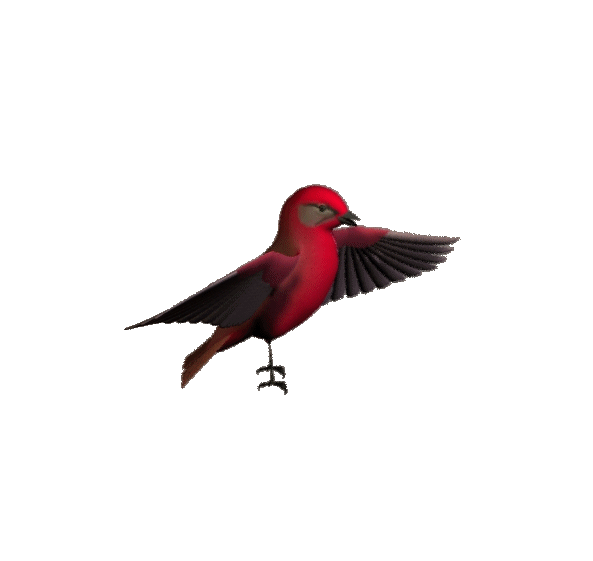 Free Animated Gif