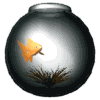Free Animated Gif