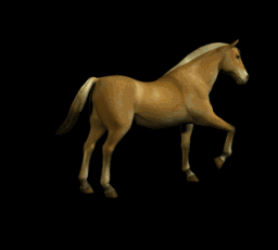 Free Animated Gif