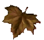 Free Animated Gif