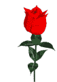 Free Animated Gif