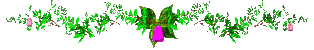 Free Animated Gif