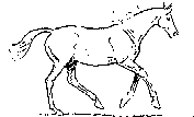 Free Animated Gif