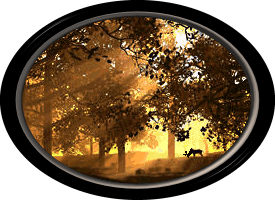 Free Animated Gif