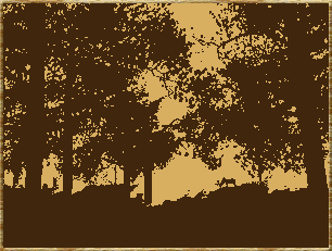Free Animated Gif