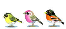 Free Animated Gif