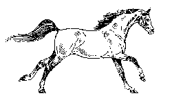 Free Animated Gif