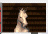 Free Animated Gif