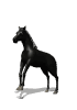 Free Animated Gif