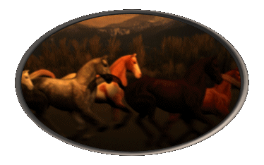 Free Animated Gif