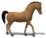 Free Animated Gif