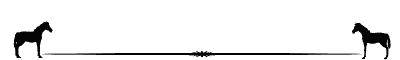 Free Animated Gif