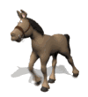 Free Animated Gif