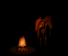 Free Animated Gif