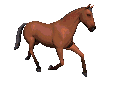 Free Animated Gif