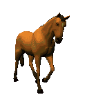 Free Animated Gif