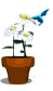 Free Animated Gif