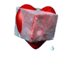 Free Animated Gif
