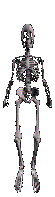 Free Animated Gif