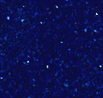 Free Animated Gif