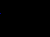Free Animated Gif