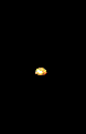 Free Animated Gif