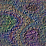 Free Animated Gif