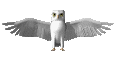 Free Animated Gif