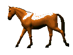 Free Animated Gif