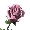 Free Animated Gif