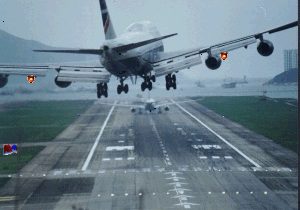 Free Animated Gif