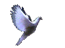 Free Animated Gif