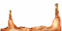 Free Animated Gif