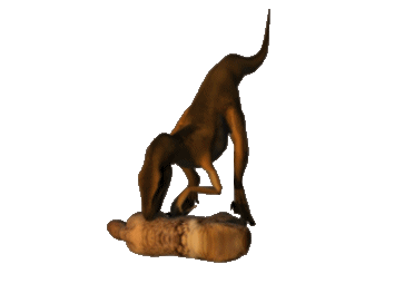 Free Animated Gif