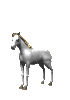 Free Animated Gif