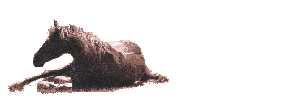 Free Animated Gif