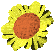 Free Animated Gif