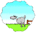 Free Animated Gif