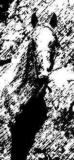 Free Animated Gif