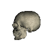 Free Animated Gif
