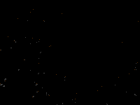 Free Animated Gif